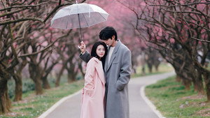 骄阳似我 kép