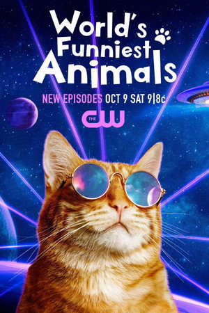 World's Funniest Animals Speciális epizódok (2021-04-30) poszter