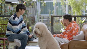 พี่พระเอกกับเด็กหมาในกอง 1. évad Ep.5 5. epizód