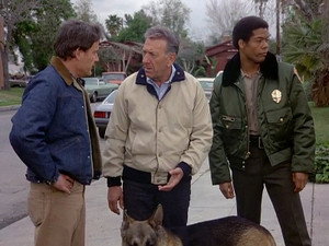 Quincy, M.E. 7. évad Ep.23 23. epizód