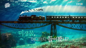 취미는 과학 1. évad Ep.11 11. epizód