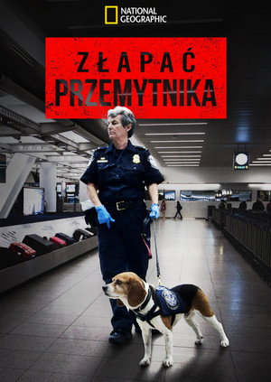 Drogfogások a repülőtéren poszter