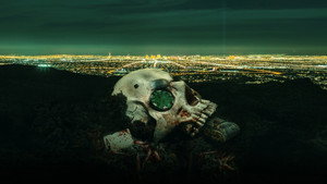 CSI: Las Vegas-i helyszínelők kép