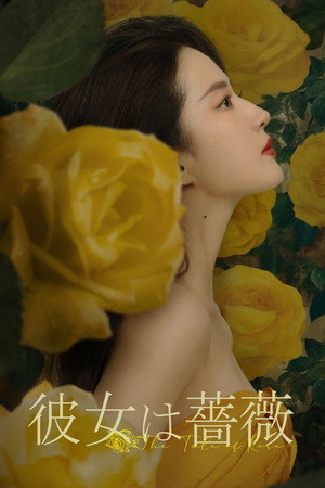 玫瑰的故事 poszter