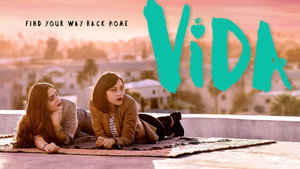 Vida kép