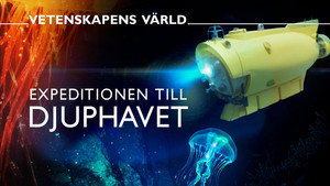 Vetenskapens värld 52. évad Ep.11 11. epizód