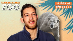 Une saison au zoo 8. évad Ep.24 24. epizód