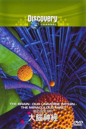 The Brain: Our Universe Within 1. évad (1994-07-12) poszter