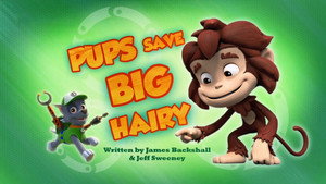 PAW Patrol 4. évad Ep.11 11. epizód