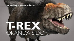 Vetenskapens värld 47. évad Ep.18 18. epizód
