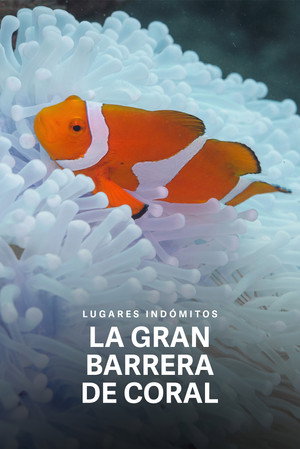 Wildest Places: Great Barrier Reef poszter