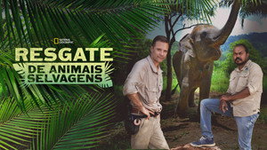 Jungle Animal Rescue kép