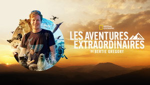 Fantasztikus kalandok Bertie Gregoryval kép