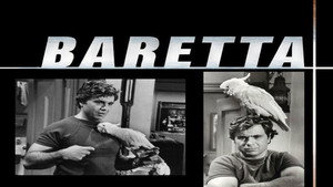 Baretta kép