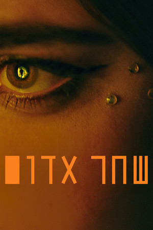 שחר אדום poszter