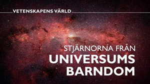 Vetenskapens värld 49. évad Ep.4 4. epizód