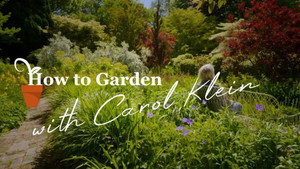 How to Garden With Carol Klein kép