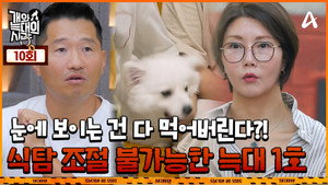 개와 늑대의 시간 1. évad Ep.10 10. epizód
