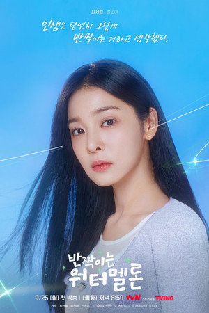 반짝이는 워터멜론 poszter