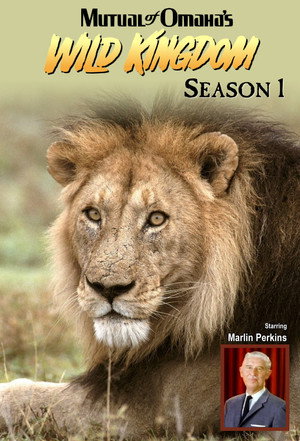 Mutual of Omaha's Wild Kingdom 1. évad (1963-01-04) poszter