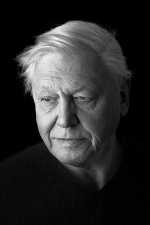 David Attenborough profil kép