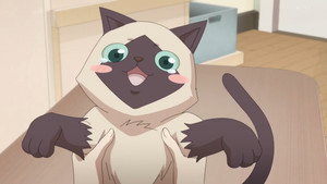 猫先动的手！ kép