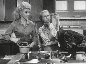 The Beverly Hillbillies 2. évad Ep.10 10. epizód