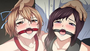 桜宮姉妹のネトラレ記録 kép