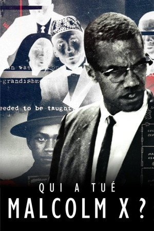 Ki ölte meg Malcolm X-et? poszter