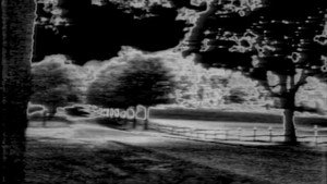 Tales from the Darkside kép