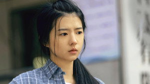 黄雀 kép