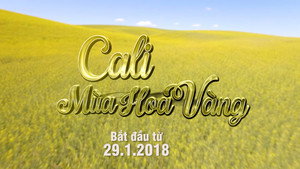 Cali mùa hoa vàng kép