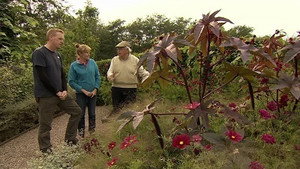 The Beechgrove Garden 40. évad Ep.17 17. epizód
