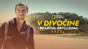 Bear Grylls - Sztárok a vadonban: A kihívás kép