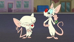 Animaniacs 2. évad Ep.8 8. epizód