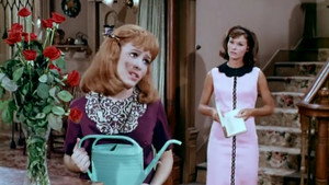 Petticoat Junction 5. évad Ep.3 3. epizód