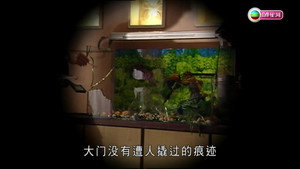 古靈精探 1. évad Ep.3 3. epizód