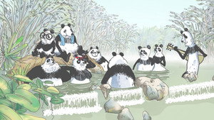 Pandas dans la brume kép