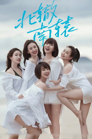 北辙南辕 poszter
