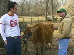 Jackass 2. évad Ep.2 2. epizód