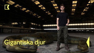 Óriások kép
