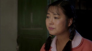 岁岁年年柿柿红 kép