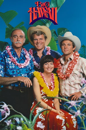 Big Hawaii poszter
