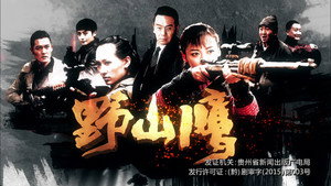 野山鹰 kép