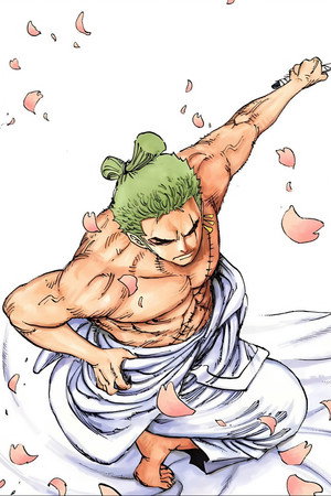 One Piece poszter