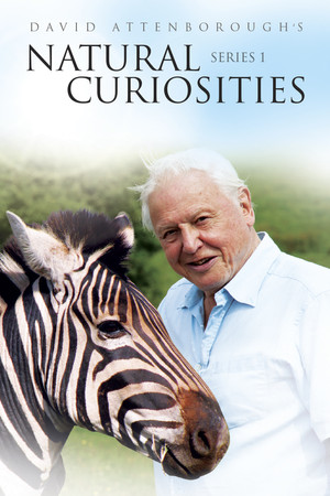 A természet furcsaságai David Attenborough-val 1. évad (2013-01-29) poszter