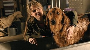 Smallville 4. évad Ep.14 Krypto