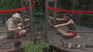 I'm a Celebrity...Get Me Out of Here! 13. évad Ep.19 19. epizód