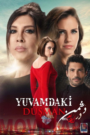 Yuvamdaki Düşman poszter