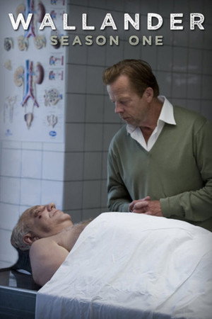 Wallander 1. évad (2005-01-14) poszter